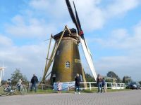 Korenmolen De Lelie