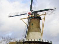 Korenmolen ’t Vliegend Hert